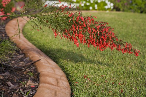 Brick Edging in Greenwood