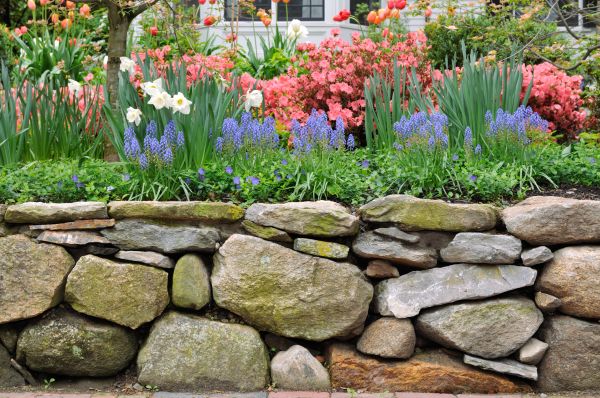 Stone Wall Hardscaping in Greenwood