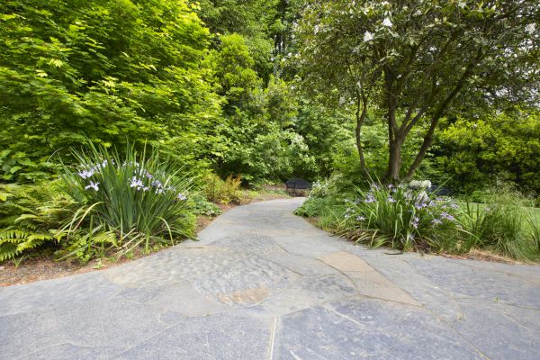 Stone Hardscape Service in Greenwood