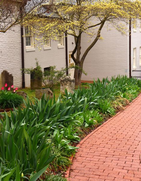 Brick Flatwork Repair in Greenwood